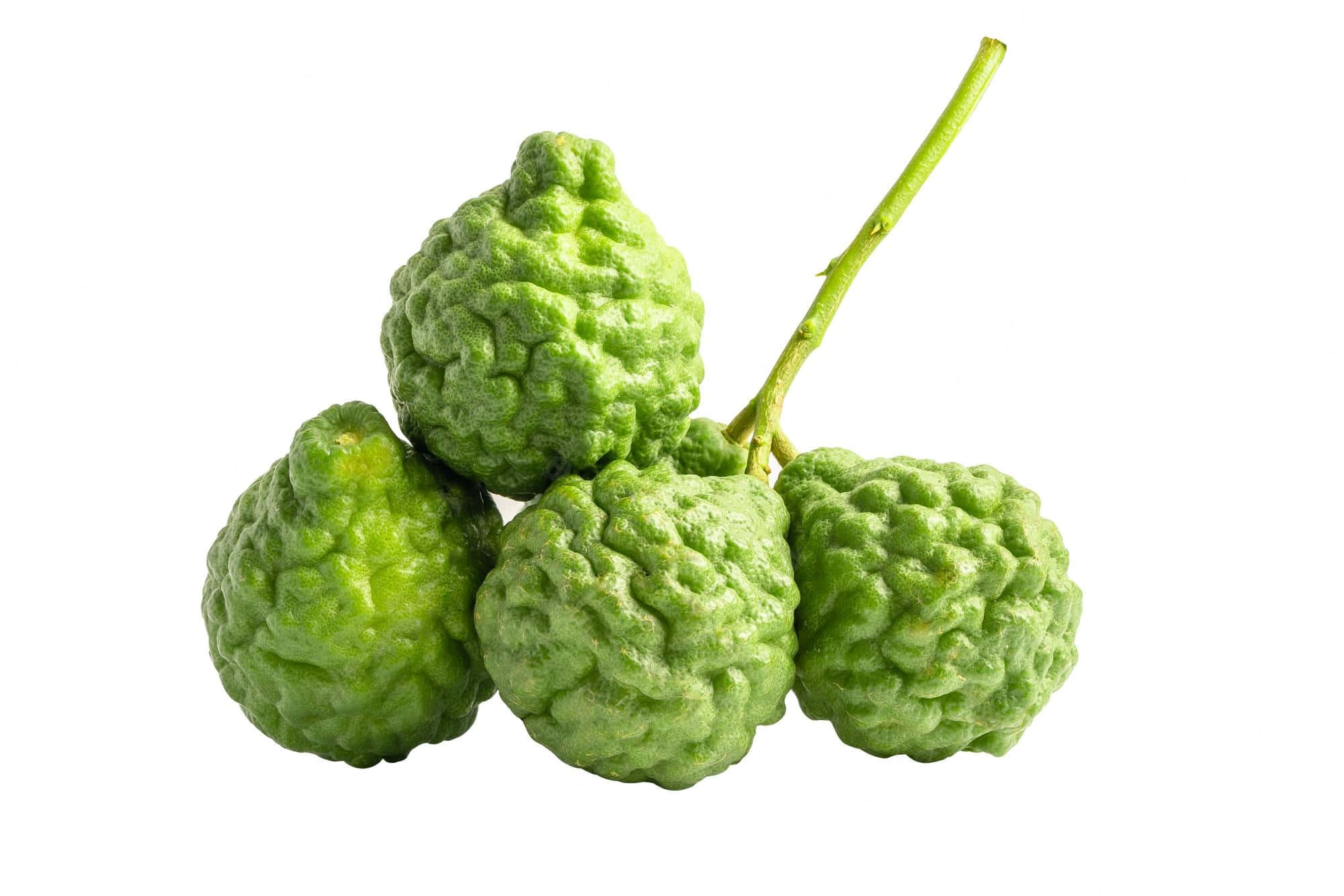 citrus 桌布 壁紙 — 四個凹凸不平的綠色柑橘類水果聚在莖上，以純白背景襯托。