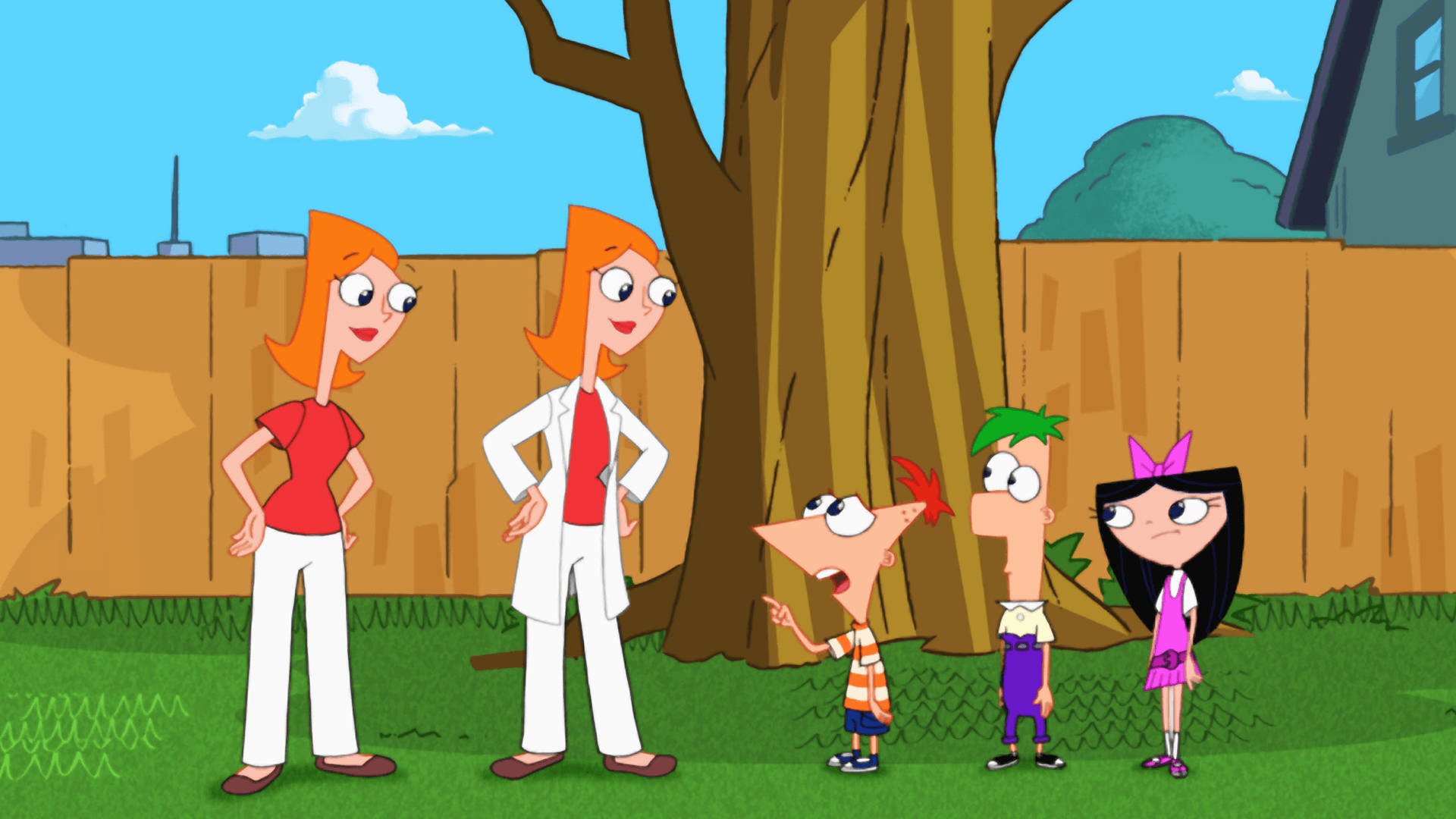 Ferb 桌布 壁紙 — 四個動畫角色站在後院的一棵大樹下，身後有木柵欄和藍天。