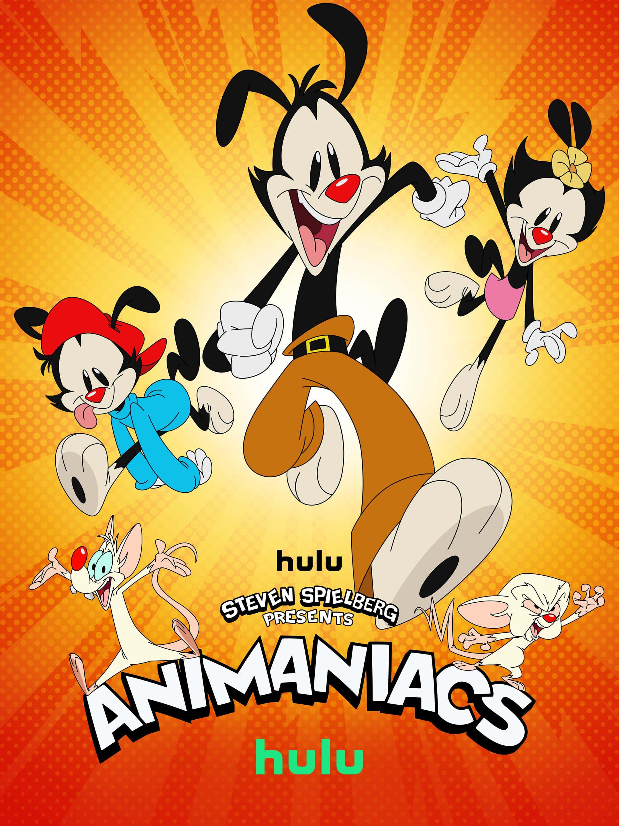 Animaniacs 桌布 壁紙 — 四個卡通角色在帶有半色調點的鮮豔橙色太陽爆發背景上歡樂跳躍。