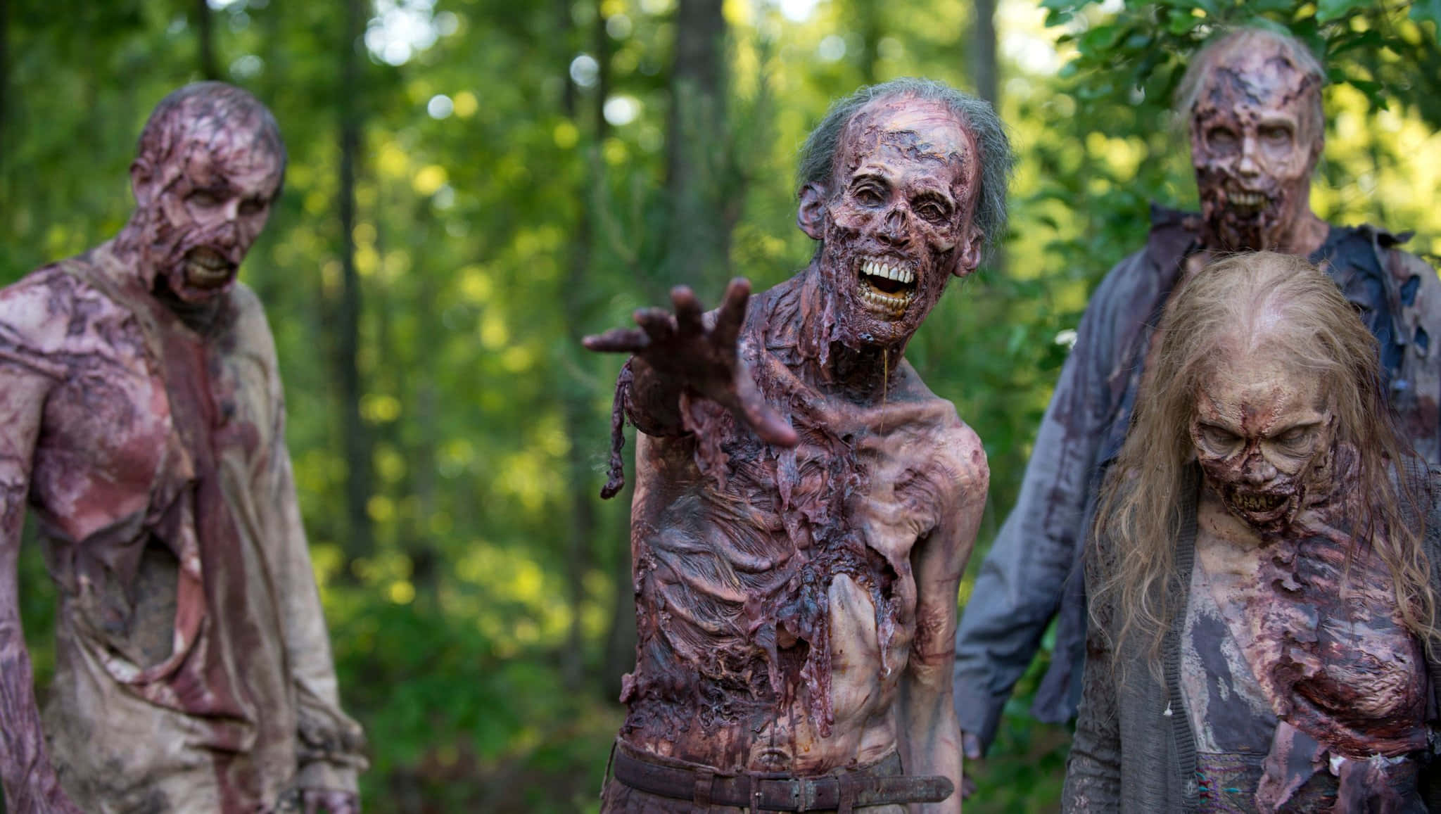 zombies 桌布 壁紙 — 四個可怕的殭屍，身上有撕裂的肉和血淋淋的傷口，在陽光明媚的森林中威脅地潛伏著。