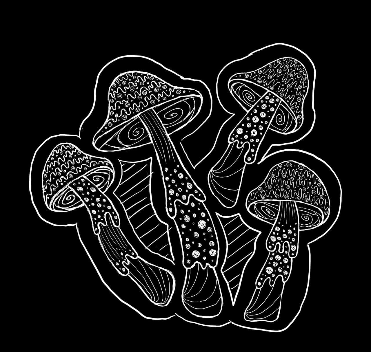 Trippy Mushrooms 桌布 壁紙 — 四個圖案複雜的蘑菇，菌蓋和菌柄帶有漩渦和點狀圖案，以白色輪廓勾勒在純黑色背景上。