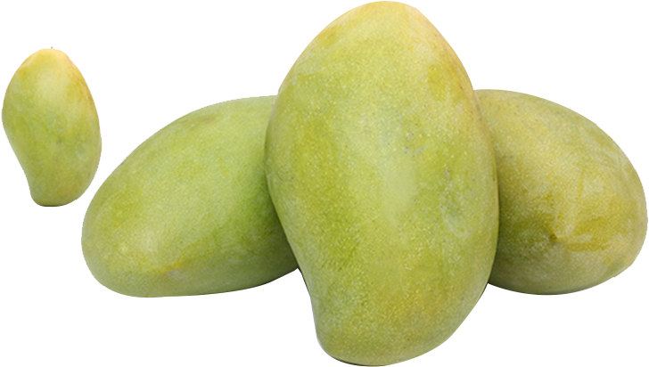 Green Mango 桌布 壁紙 — 四個帶有紋理外皮的黃綠色芒果，排列在純黑色背景上。