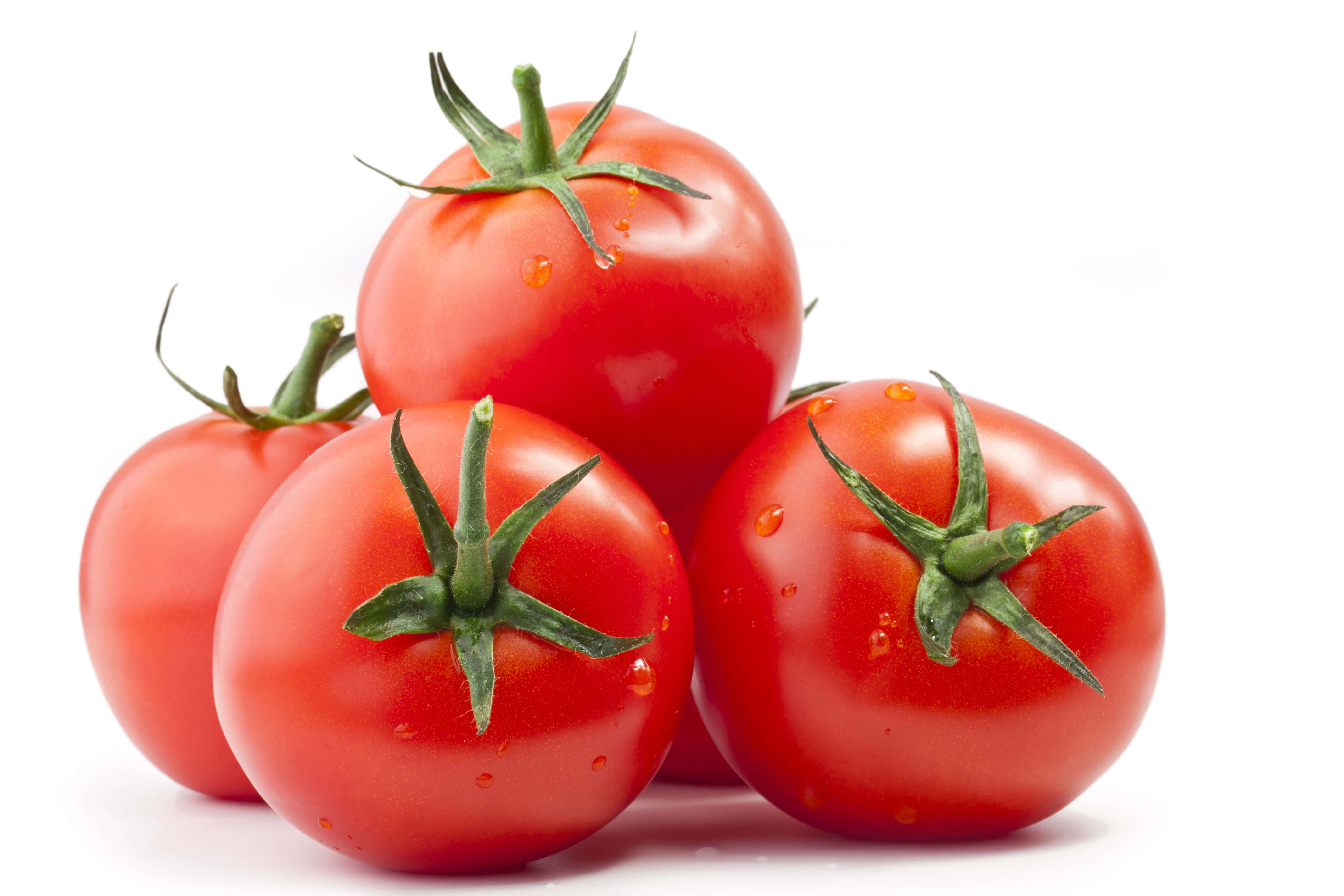 tomato 桌布 壁紙 — 四個帶有綠色莖葉和水珠的光澤紅色番茄堆疊在純白背景上。