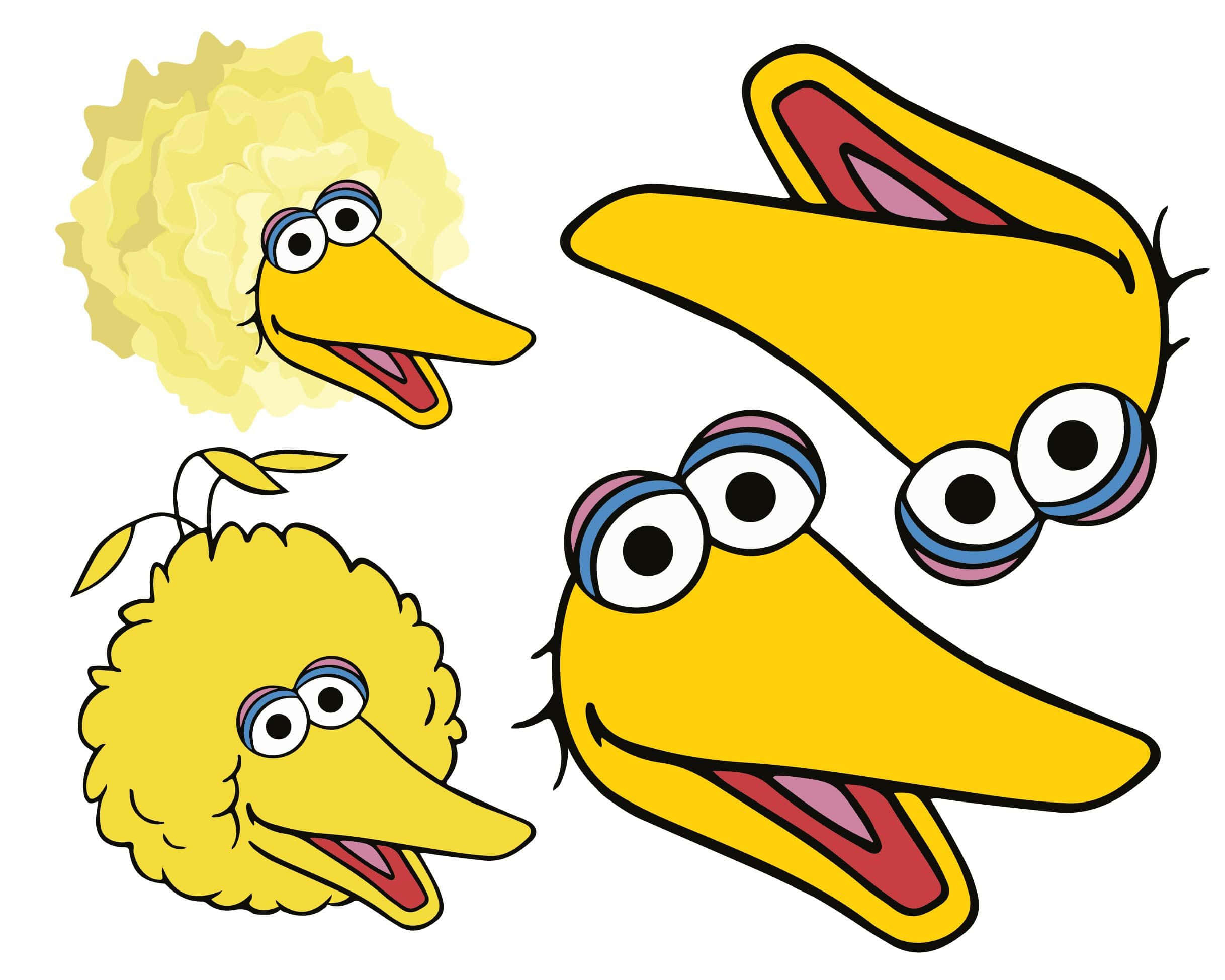 Big Bird 桌布 壁紙 — 四個快樂的黃色芝麻街鳥類角色，擁有蓬鬆的頭髮和大眼睛，在純白色背景上微笑。