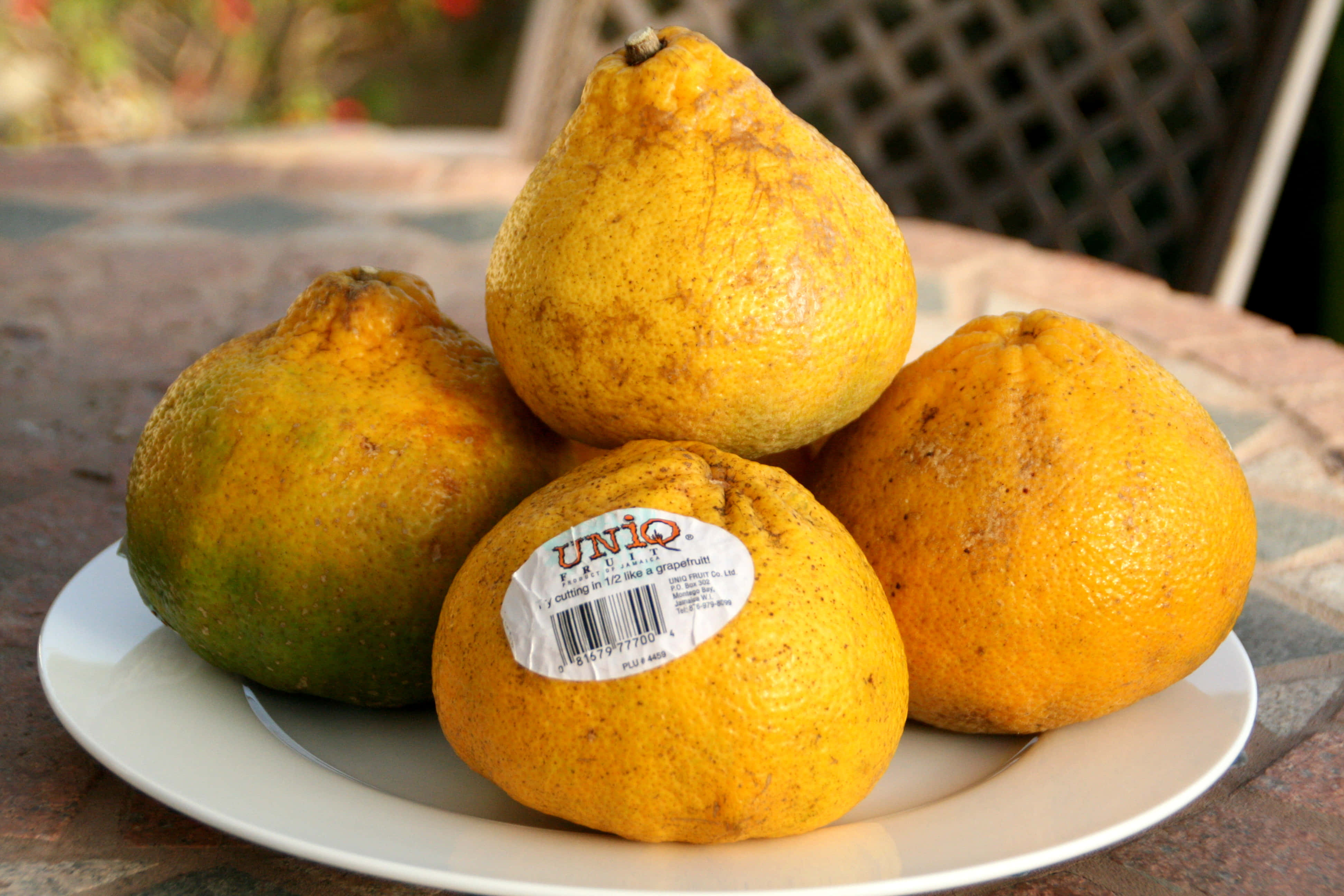 Fruits 桌布 壁紙 — 四個成熟的柚子，帶有紋理的黃色外皮，放在白色盤子上，置於戶外磁磚 patio 桌上。