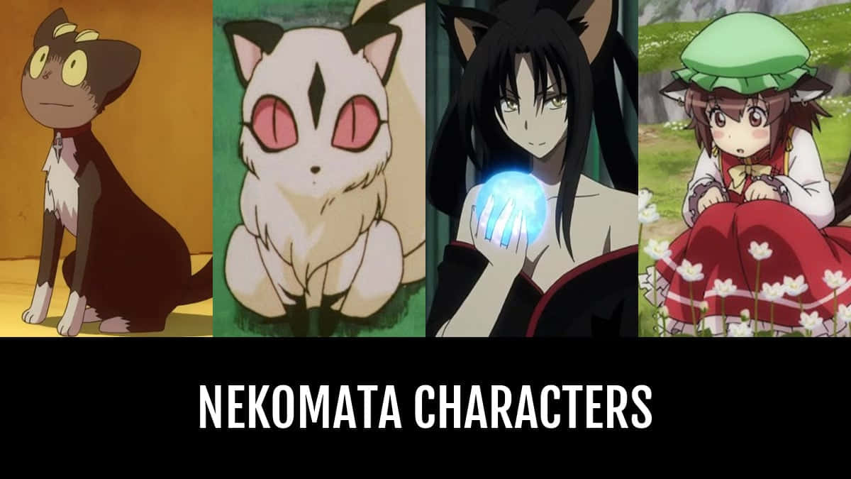 Inuyasha Nekomata 桌布 壁紙 — 四個擁有貓耳和貓尾的動畫貓又角色，姿勢和場景各異。