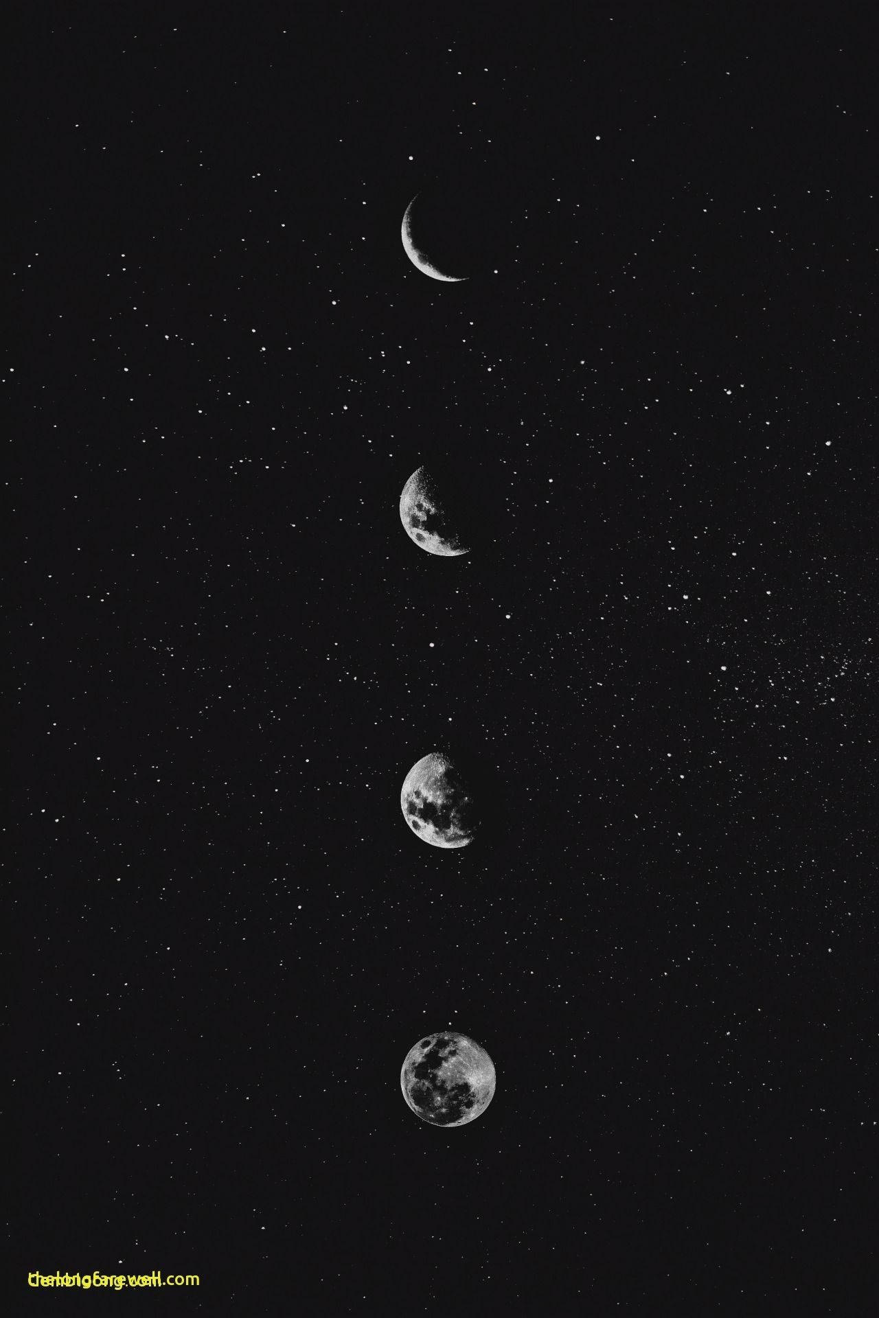暗黑動漫風格GIF 桌布 壁紙 — 四個月亮相位垂直排列，背景是繁星點點的夜空，以單色呈現。