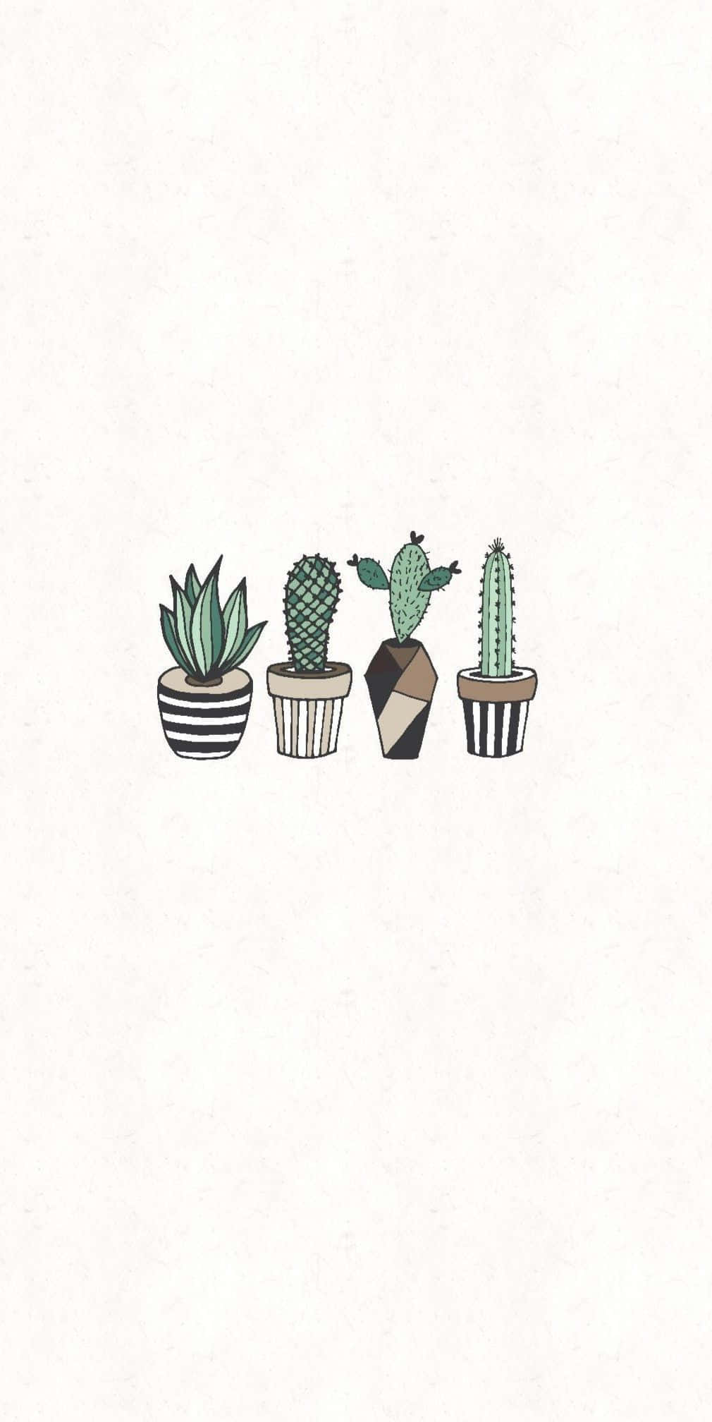 Cactus 桌布 壁紙 — 四個極簡風格插圖仙人掌，放在條紋和幾何圖案的花盆中，整齊地排列在純米白色背景上。