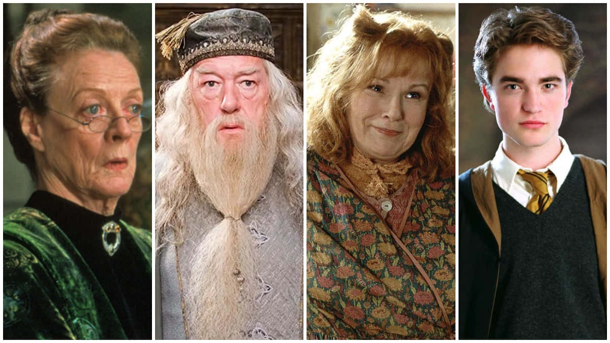 The Hogwarts Professors 桌布 壁紙 — 四個標誌性的哈利波特角色肖像，具有獨特的服裝和表情。
