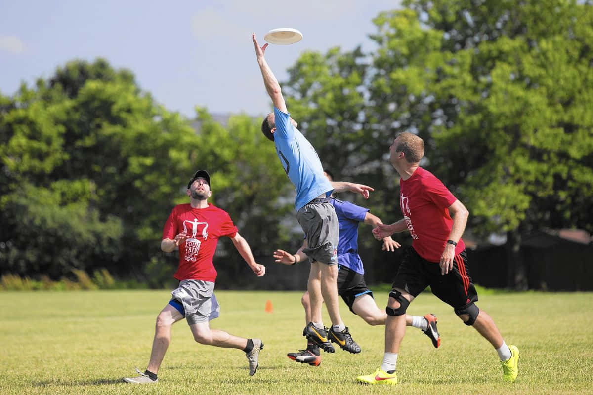Frisbee 桌布 壁紙 — 四個男人在陽光明媚的草地上跳躍伸展，爭奪一個飛行的飛盤，背景是茂密的綠樹。