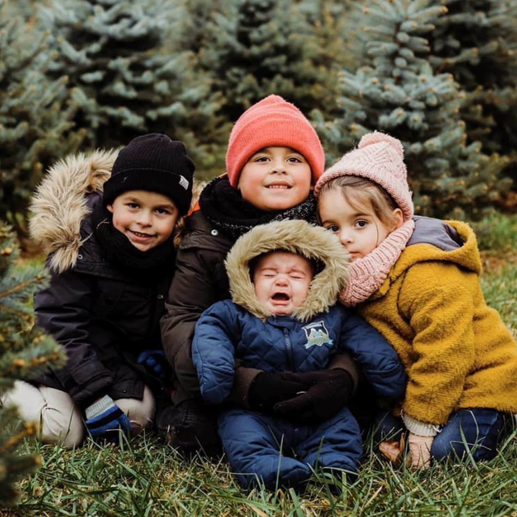 Family 桌布 壁紙 — 四個穿著厚衣的小孩在草地上擠在一起，身後有常青樹，一個在哭，其他在笑。