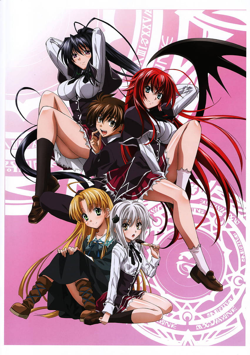 High School Dxd 桌布 壁紙 — 四個穿著校服的動漫女孩在帶有神秘符號的粉紅色背景上動態擺姿勢。