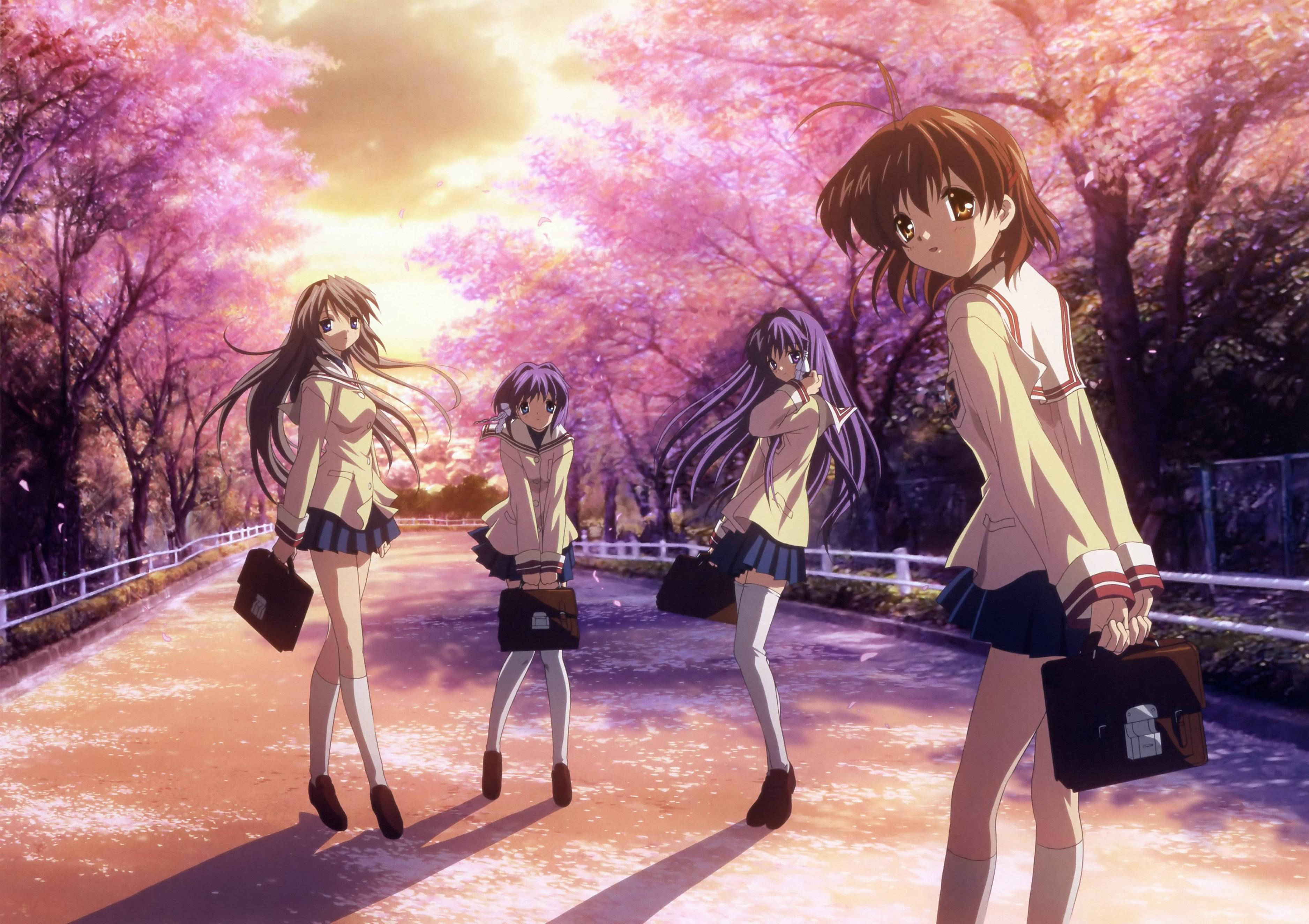 Top Anime 桌布 壁紙 — 四個穿著校服的動漫女孩在日落時分走在盛開的粉紅色櫻花樹下，在小徑上投下長長的影子。