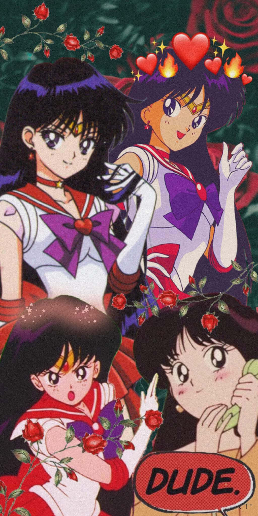 sailor mars 桌布 壁紙 — 四個穿著水手服的動畫女孩被紅玫瑰和漂浮的心形包圍，還有一個對話氣泡寫著 dude。