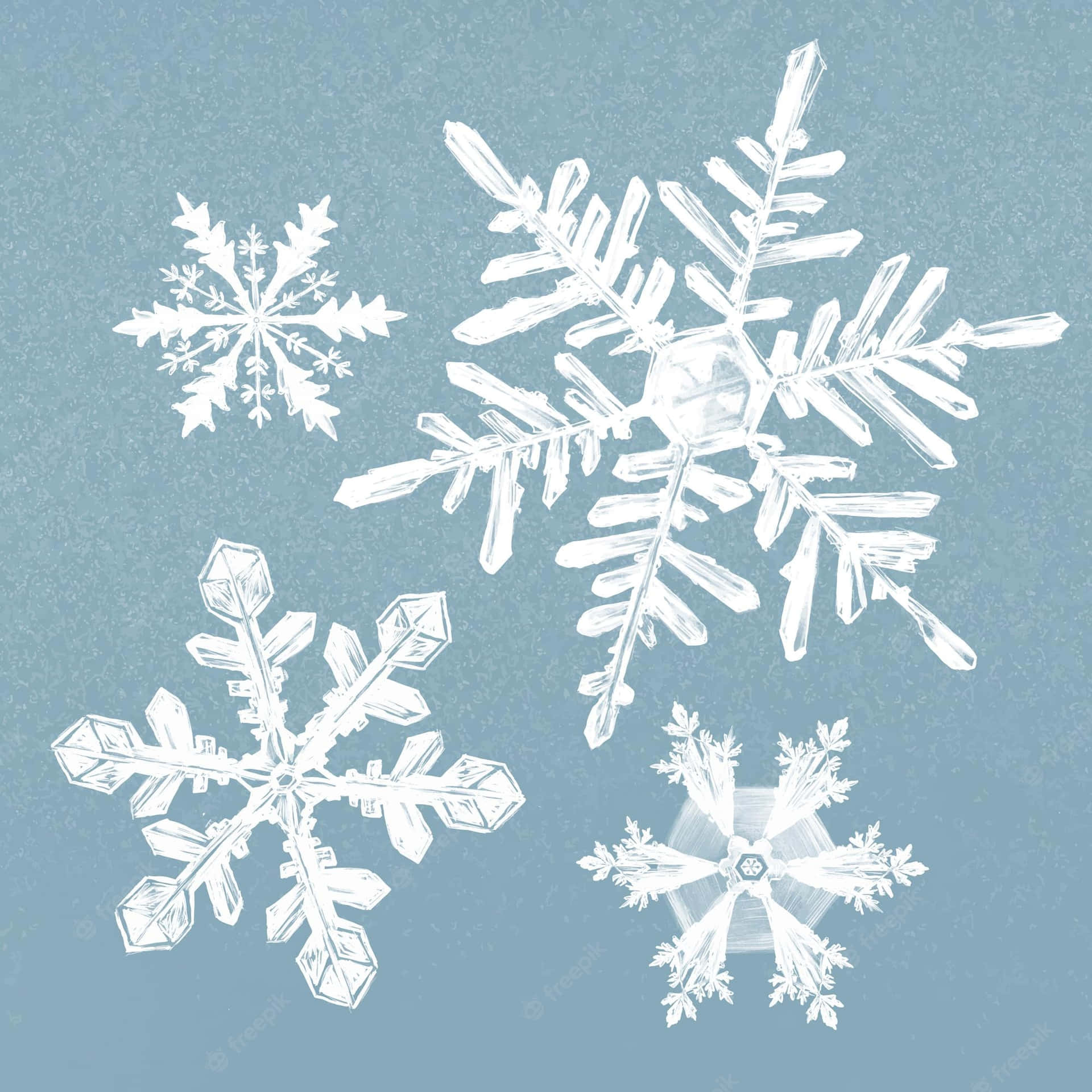 雪花 桌布 壁紙 — 四個精緻複雜的白色雪花漂浮在帶有紋理的冰藍色背景上。