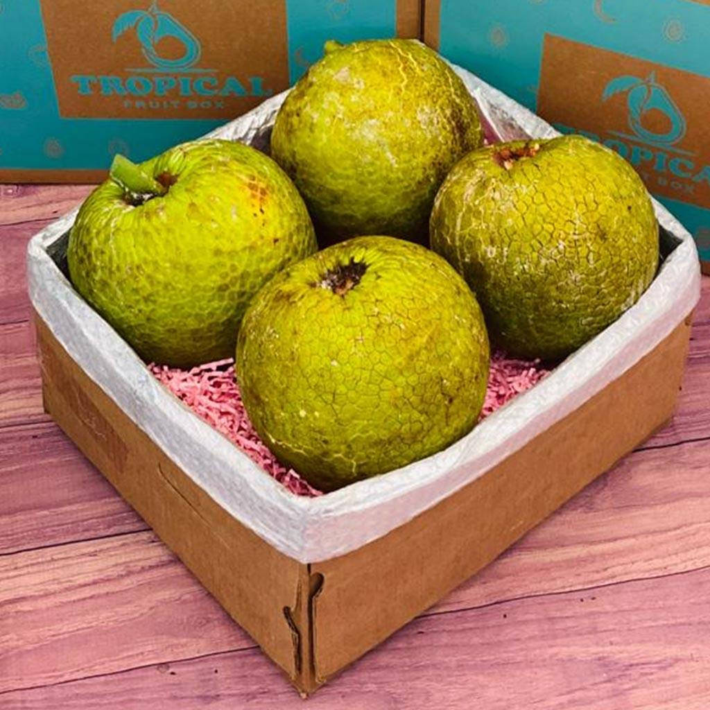 Fruits 桌布 壁紙 — 四個綠色多刺的刺果番荔枝果實，藏在一個標有熱帶水果盒的紙板箱內的粉紅色碎紙中。