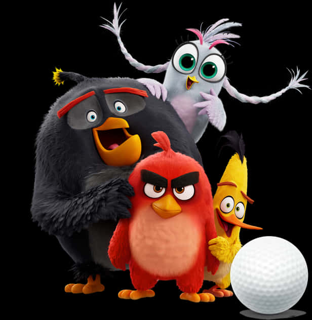 Angry Birds 桌布 壁紙 — 四個色彩繽紛的憤怒鳥角色在黑色背景前興奮地圍繞一個高爾夫球擺姿勢。