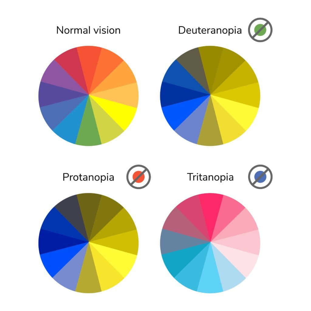 Color Palette 桌布 壁紙 — 四個色輪圖表，比較正常視覺與 deuteranopia、protanopia 和 tritanopia 的顏色感知。