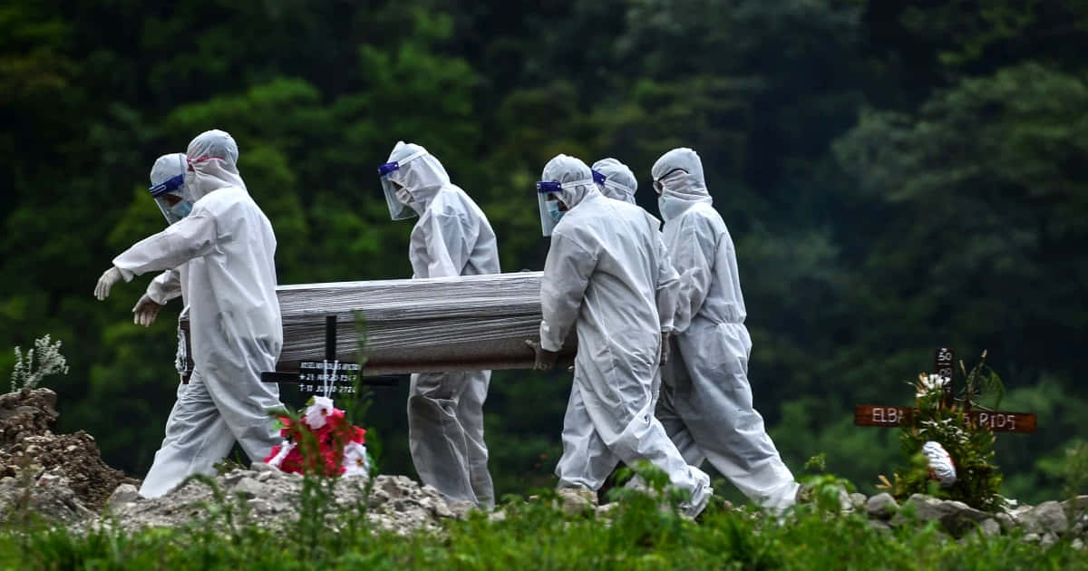 死亡 桌布 壁紙 — 四個身穿白色防護服的人抬著一個木製棺材穿過有墓碑和野花的草地山坡。