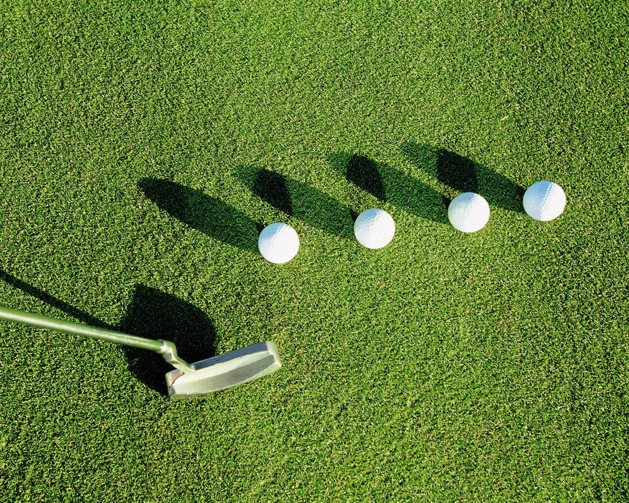 Golfing 桌布 壁紙 — 四個高爾夫球和一支推桿在鮮綠色草地上排成一排，在明亮的陽光下投射出清晰的陰影。