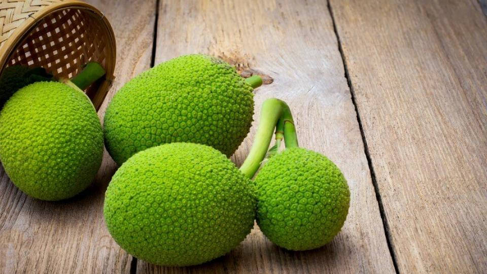 Fruits 桌布 壁紙 — 四個鮮綠色、表皮凹凸不平的波羅蜜放在風化的木板上，旁邊有一個編織籃。