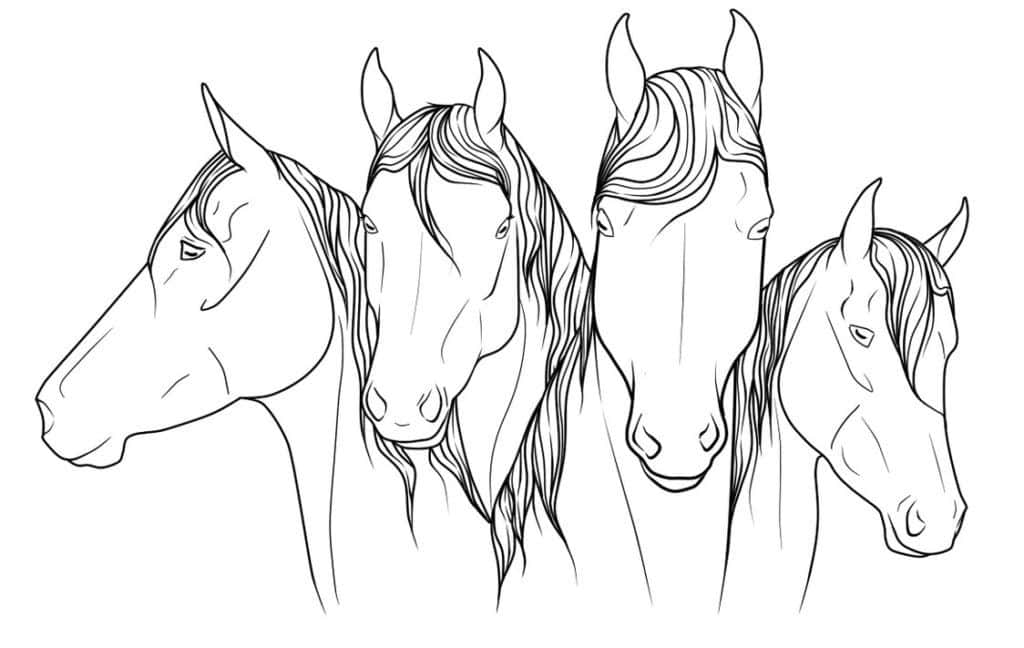 Horse Coloring 桌布 壁紙 — 四匹優雅的馬頭，以優美的線條藝術側面輪廓呈現，在純白背景上以清晰的黑色線條繪製。