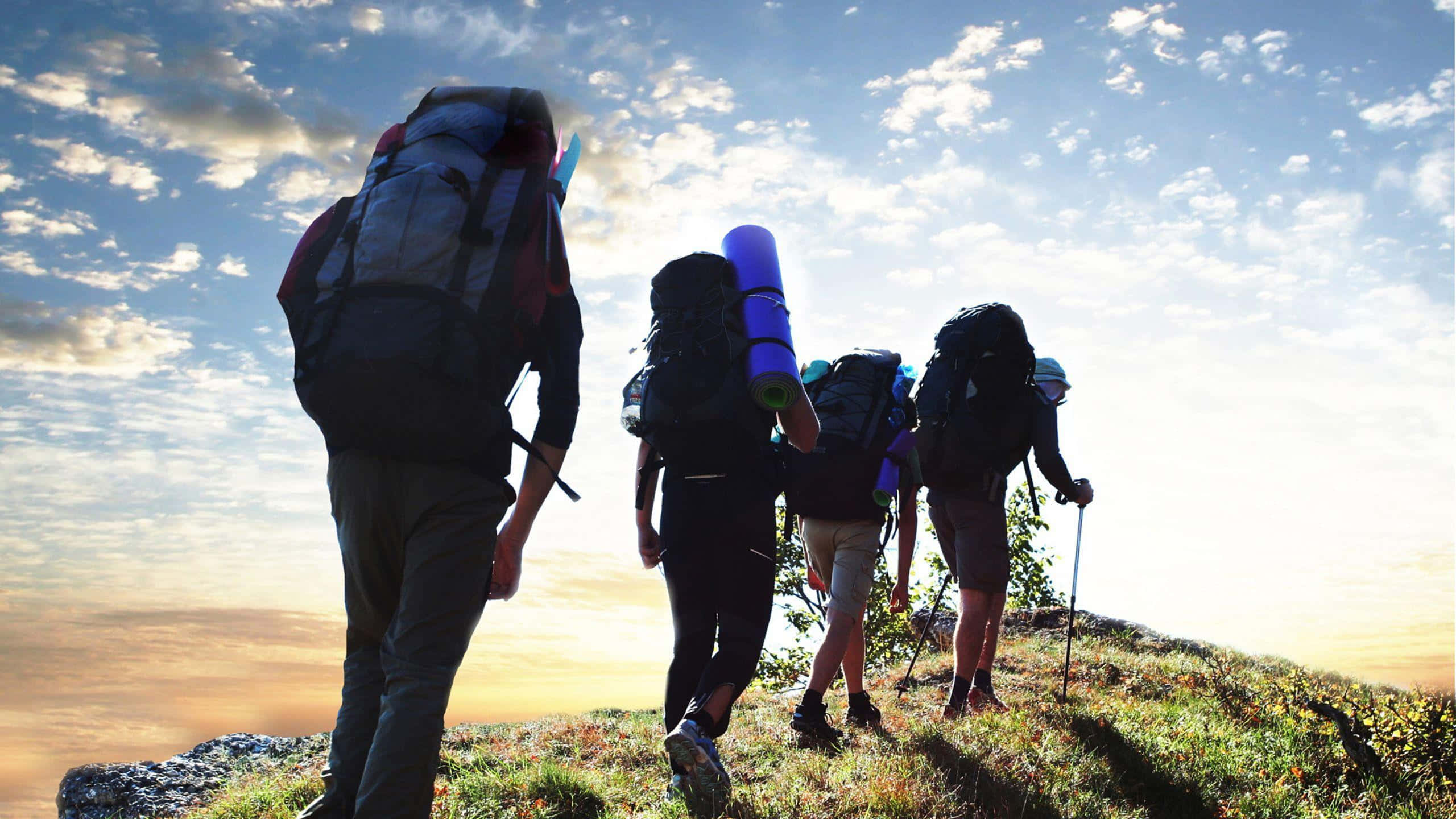 Hiking 桌布 壁紙 — 四名背著大背包的遠足者在日落時分沿著草嶺上行，在金色天空下投下長長的影子。