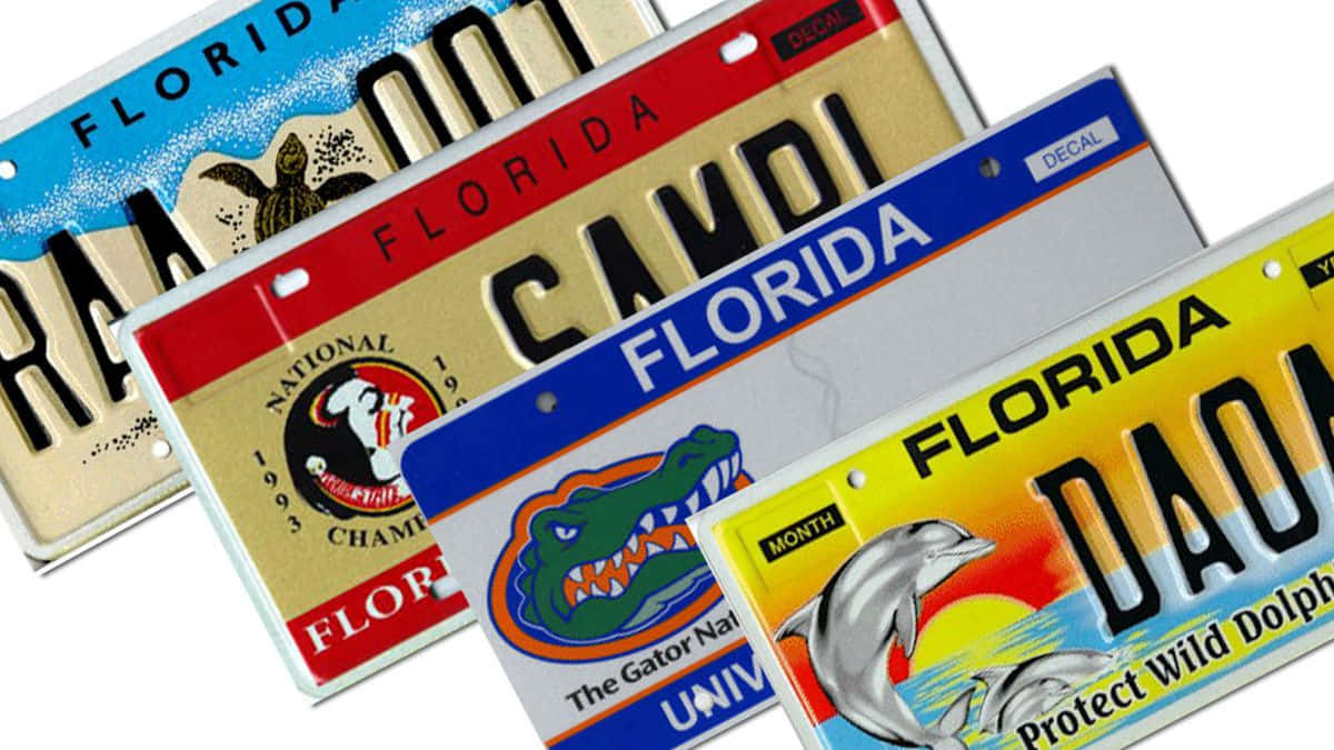 License Plate 桌布 壁紙 — 四塊色彩繽紛的佛羅里達車牌，設計獨特，包括烏龜、短吻鱷和海豚圖案，對角排列。