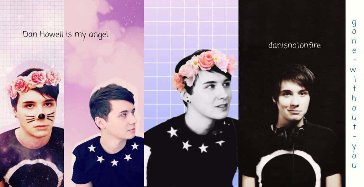 dan and phil 桌布 壁紙 — 四幅丹·豪威爾的肖像面板拼貼畫，帶有花冠和貓臉彩繪，背景為粉彩網格和星星。