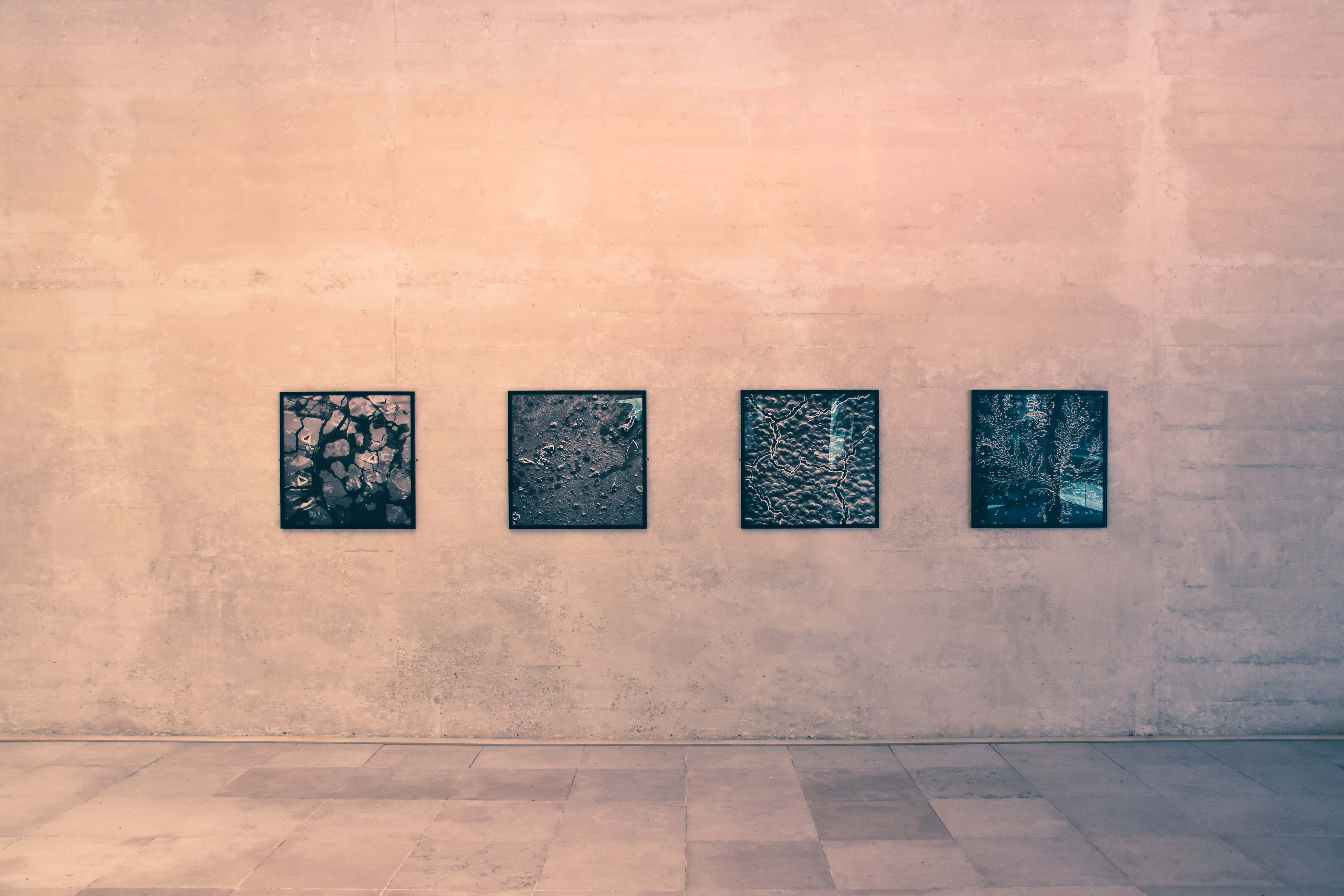 Gallery 桌布 壁紙 — 四幅裱框抽象藝術品在極簡畫廊空間中，排列在帶有紋理的桃色牆上。