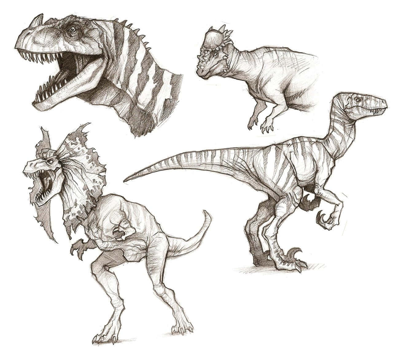 Dinosaur Drawing 桌布 壁紙 — 四幅詳細鉛筆素描，描繪帶有條紋圖案和尖牙的兇猛恐龍。