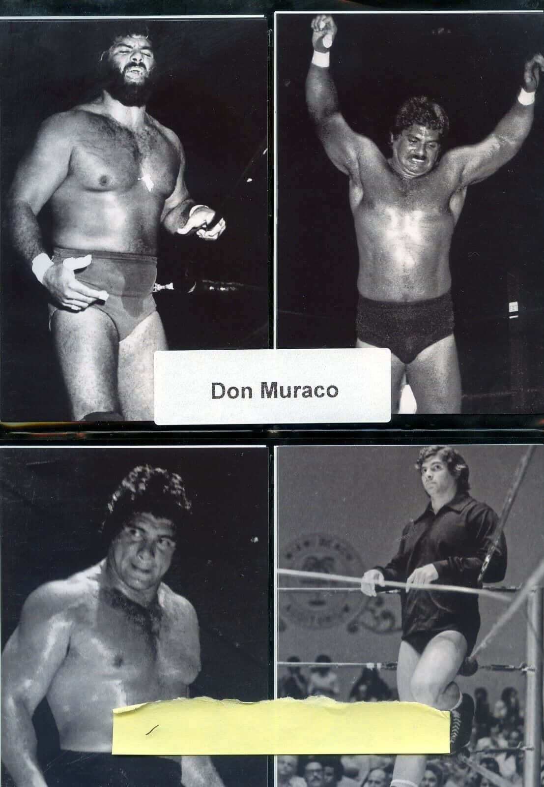 Retro 桌布 壁紙 — 四張摔角手 Don Muraco 在摔角比賽中的擂台姿勢和自然瞬間的黑白照片。