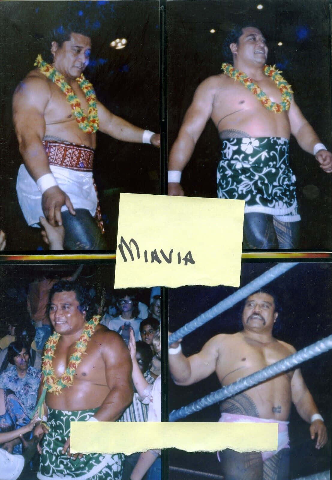 WWE 桌布 壁紙 — 四張照片，一名肌肉發達的摔角手穿著傳統夏威夷服裝，在擂台上擺姿勢，粉絲歡呼。
