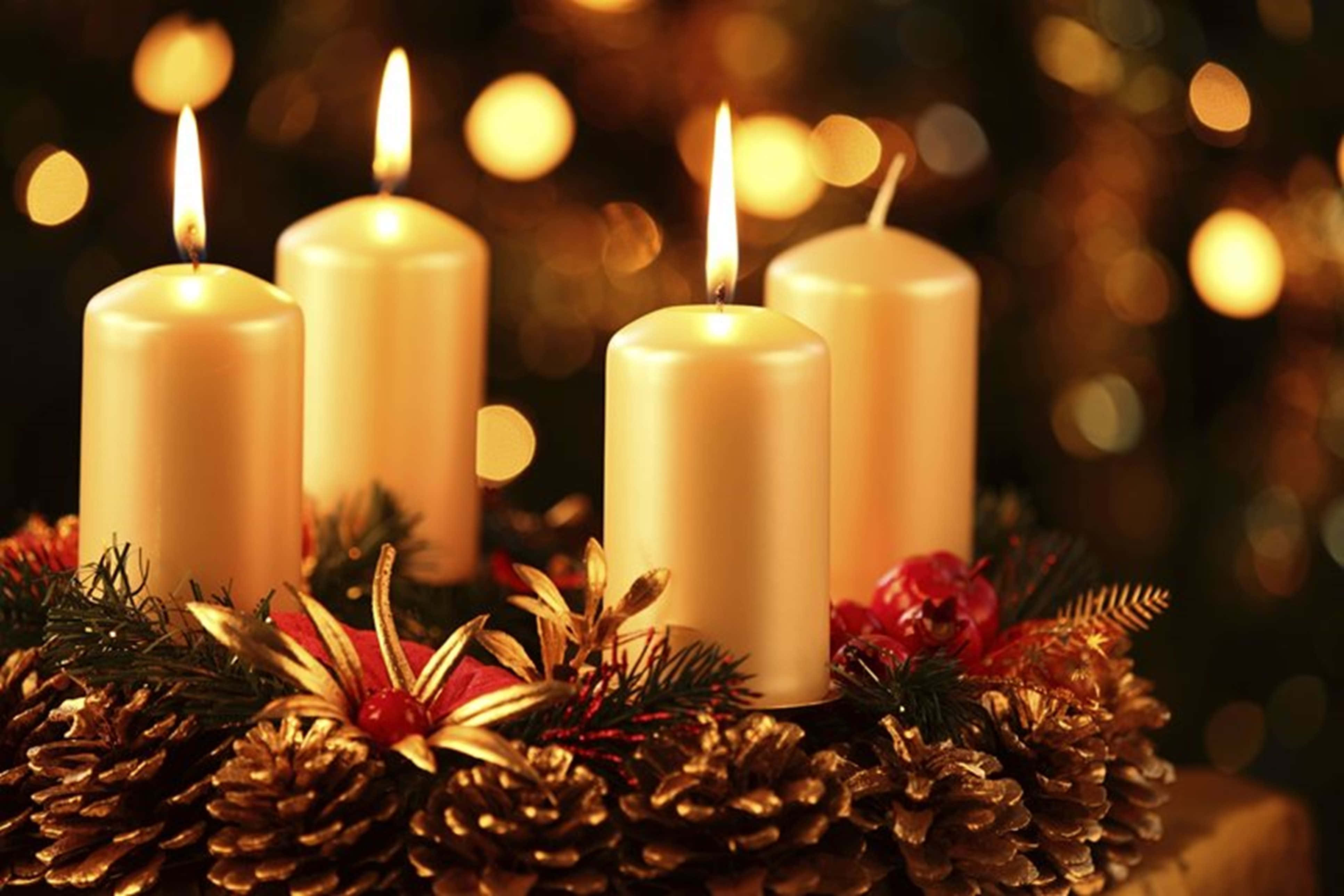 Advent 桌布 壁紙 — 四支點燃的奶油色蠟燭在一個裝飾著松果、紅色漿果和金色樹葉的節日花環中溫暖地發光。
