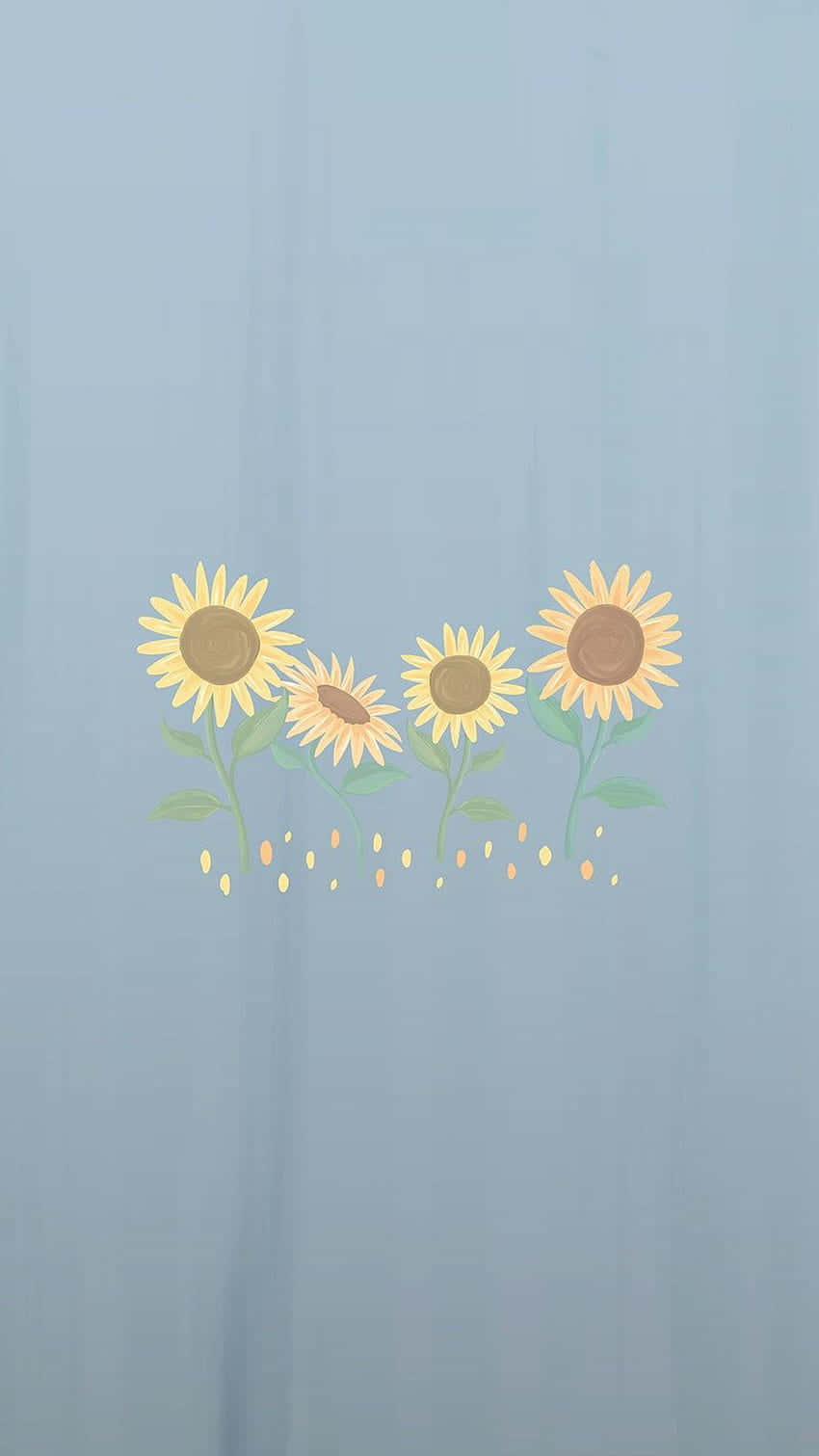Sunflower Aesthetic iPhone 桌布 壁紙 — 四朵風格化的向日葵，黃色花瓣和棕色花心，在柔和的藍灰色紋理背景上綻放。