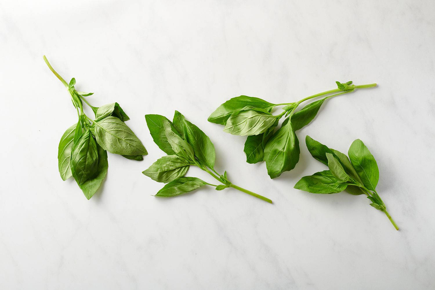 Basil 桌布 壁紙 — 四枝新鮮羅勒枝條，帶有鮮綠色葉子，對角排列在乾淨的白色大理石表面上。
