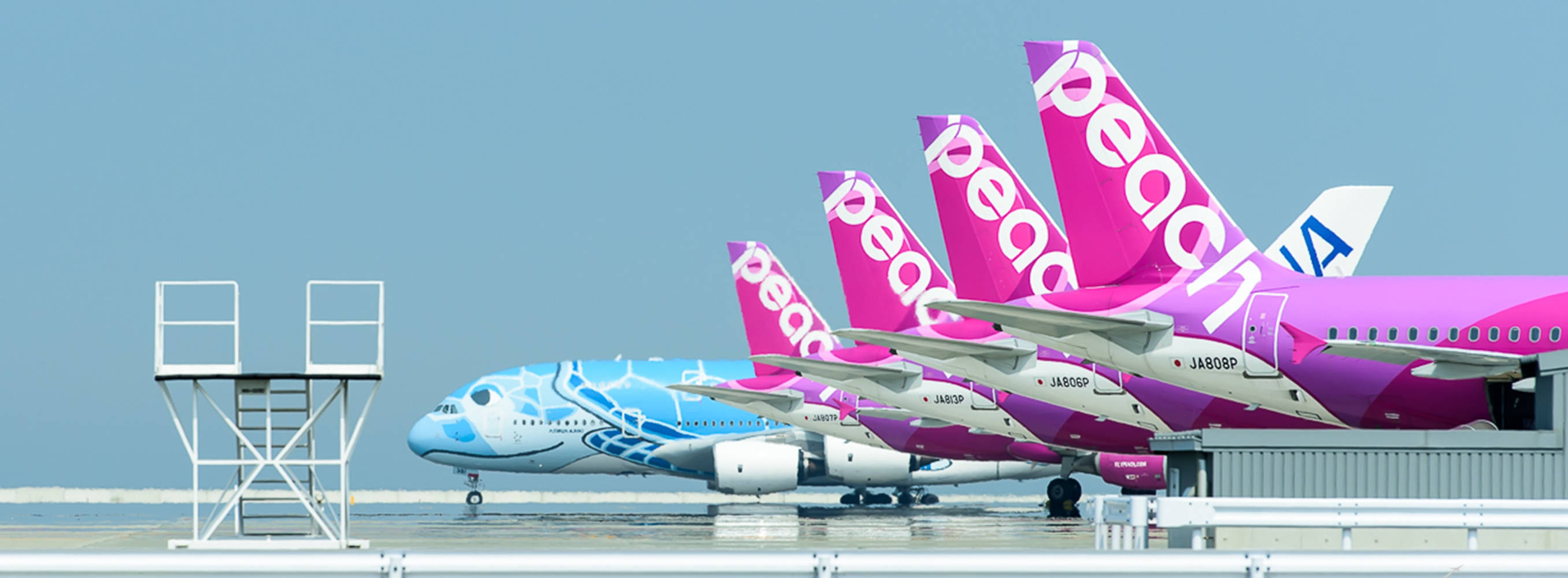 Airport 桌布 壁紙 — 四架鮮豔的桃子航空噴射機在晴朗藍天下整齊停放在潮濕停機坪上，附近有金屬樓梯。