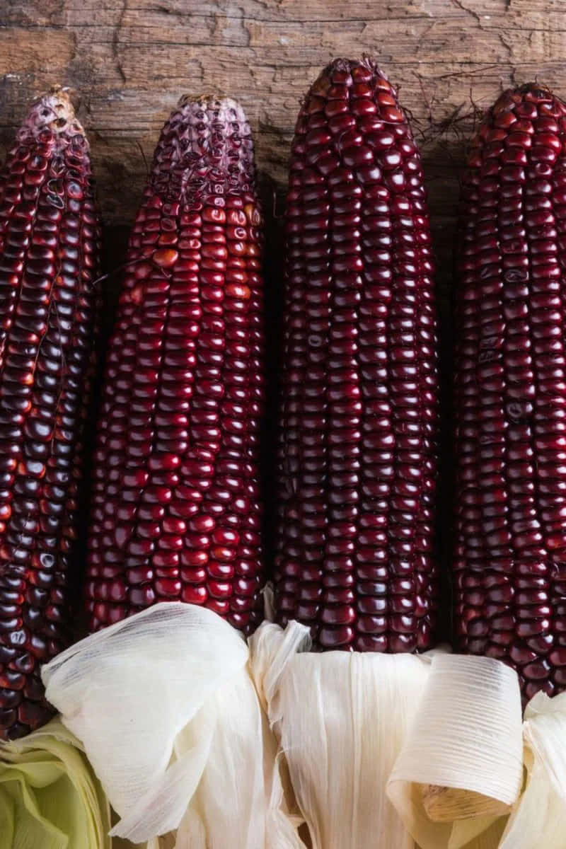 Purple Corn 桌布 壁紙 — 四根鮮紅色的玉米，剝去外殼，靠在一塊風化的木質表面上。