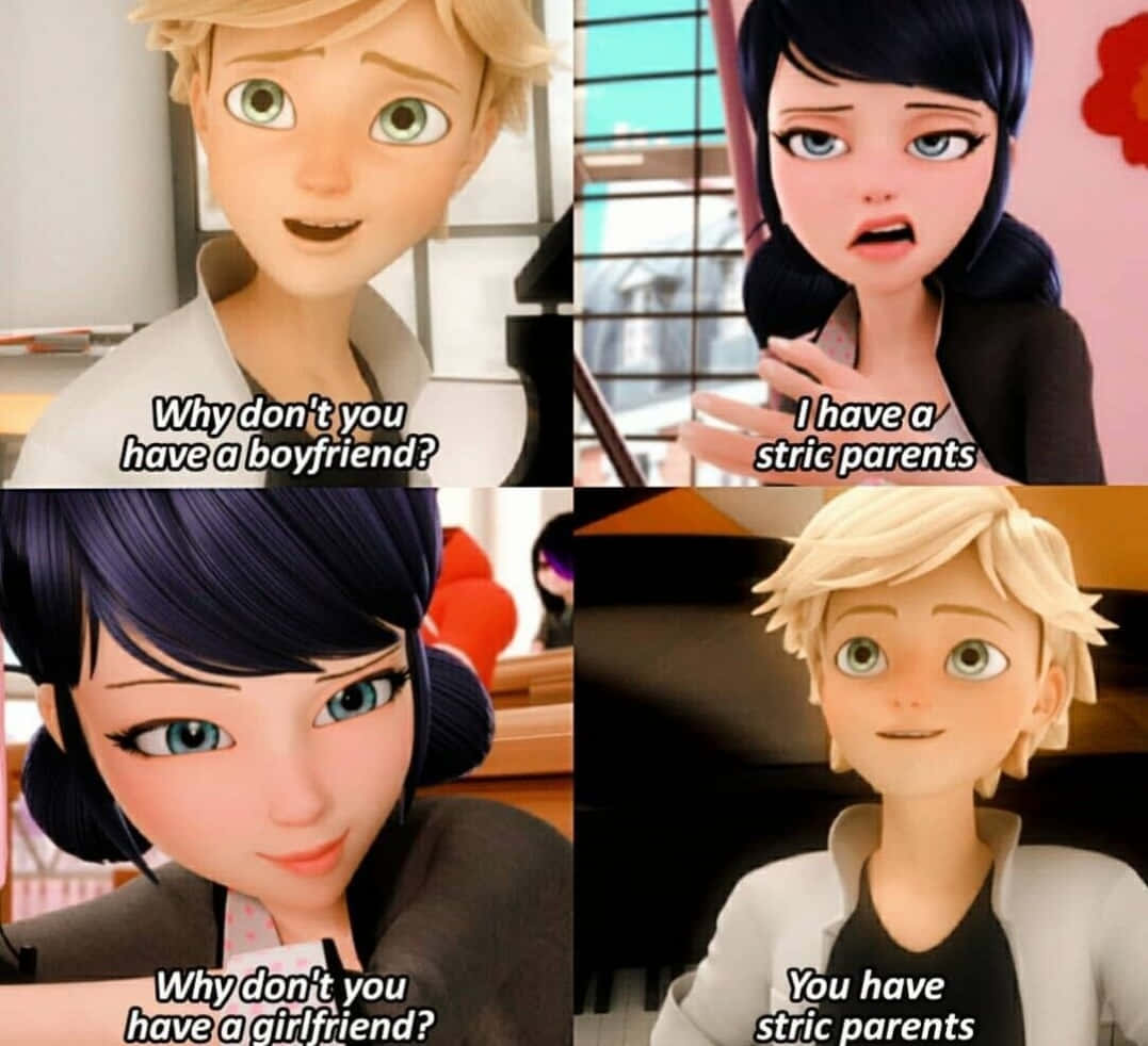 Funny Miraculous 桌布 壁紙 — 四格動畫迷因，包含《瓢蟲少女》角色，並有關於人際關係和嚴格父母的文字覆蓋。
