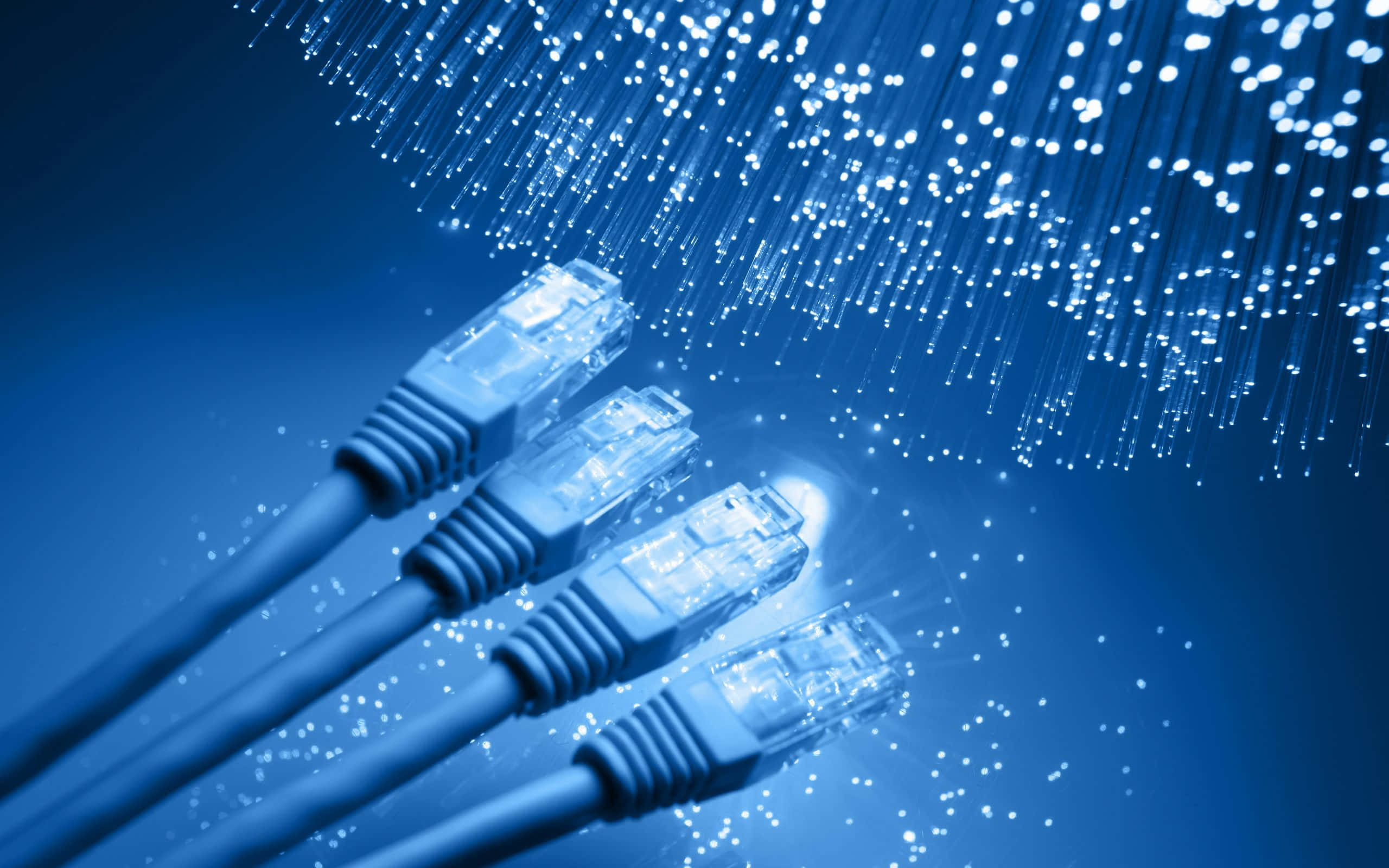 Network 桌布 壁紙 — 四條發出藍光的乙太網路線連接到一個發光的光纖網路，背景是深藍色的數位背景。