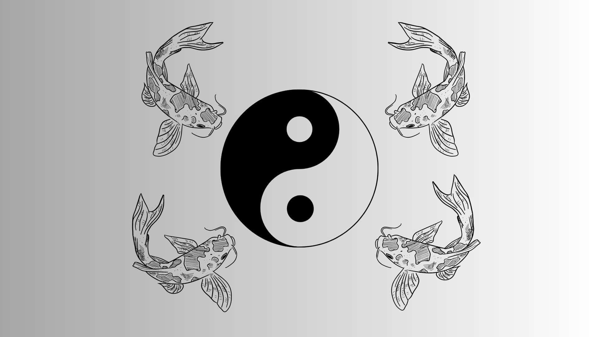 Yin Yang Fish 桌布 壁紙 — 四條錦鯉圍繞著中央的太極圖案游動，以單色線條藝術呈現，背景為柔和的灰色漸變。