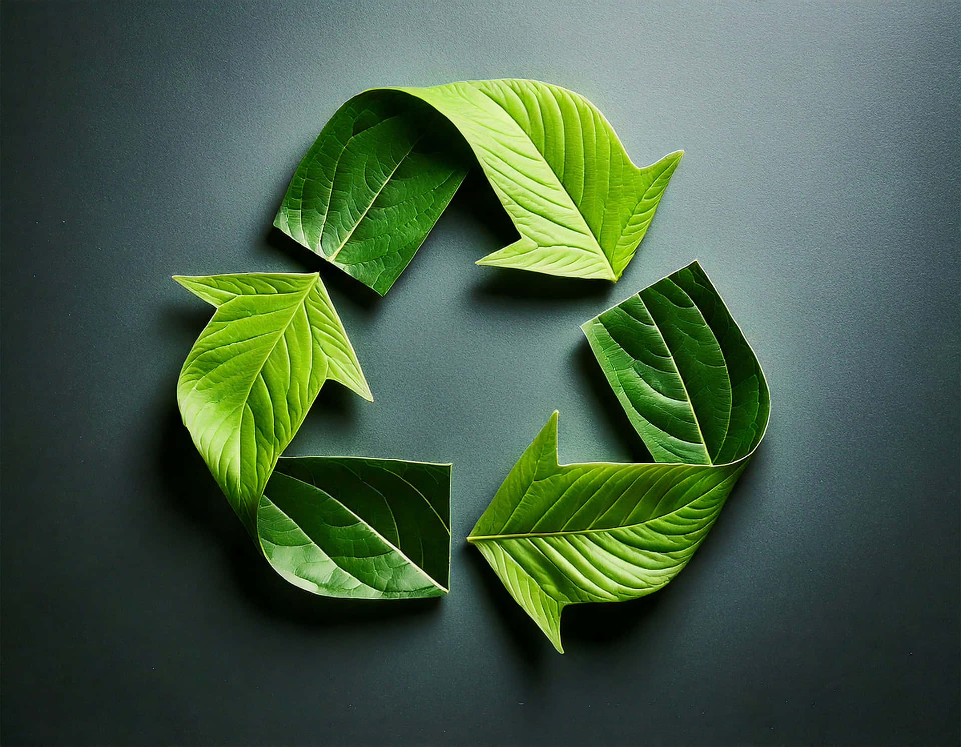 Recycling Symbol 壁紙 — 四片充滿活力的綠葉在深灰色背景上排列成圓形回收標誌。