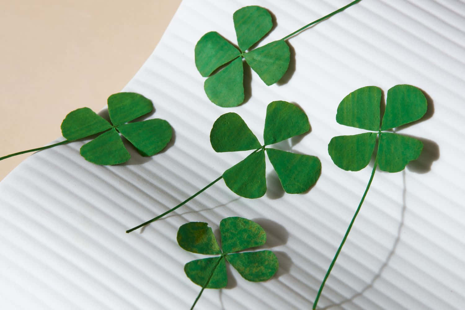 Four Leaf Clover 桌布 壁紙 — 四片帶有長莖的三葉草葉子放在白色條紋表面上，在米色背景上投下柔和陰影。