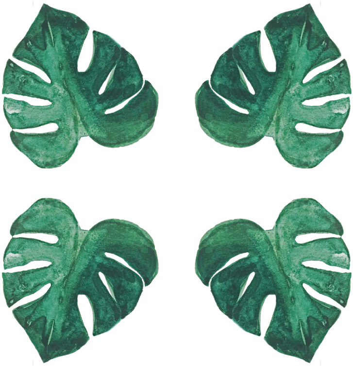Leaves 桌布 壁紙 — 四片水彩龜背竹葉以不同深淺的綠色漂浮在純黑背景上。