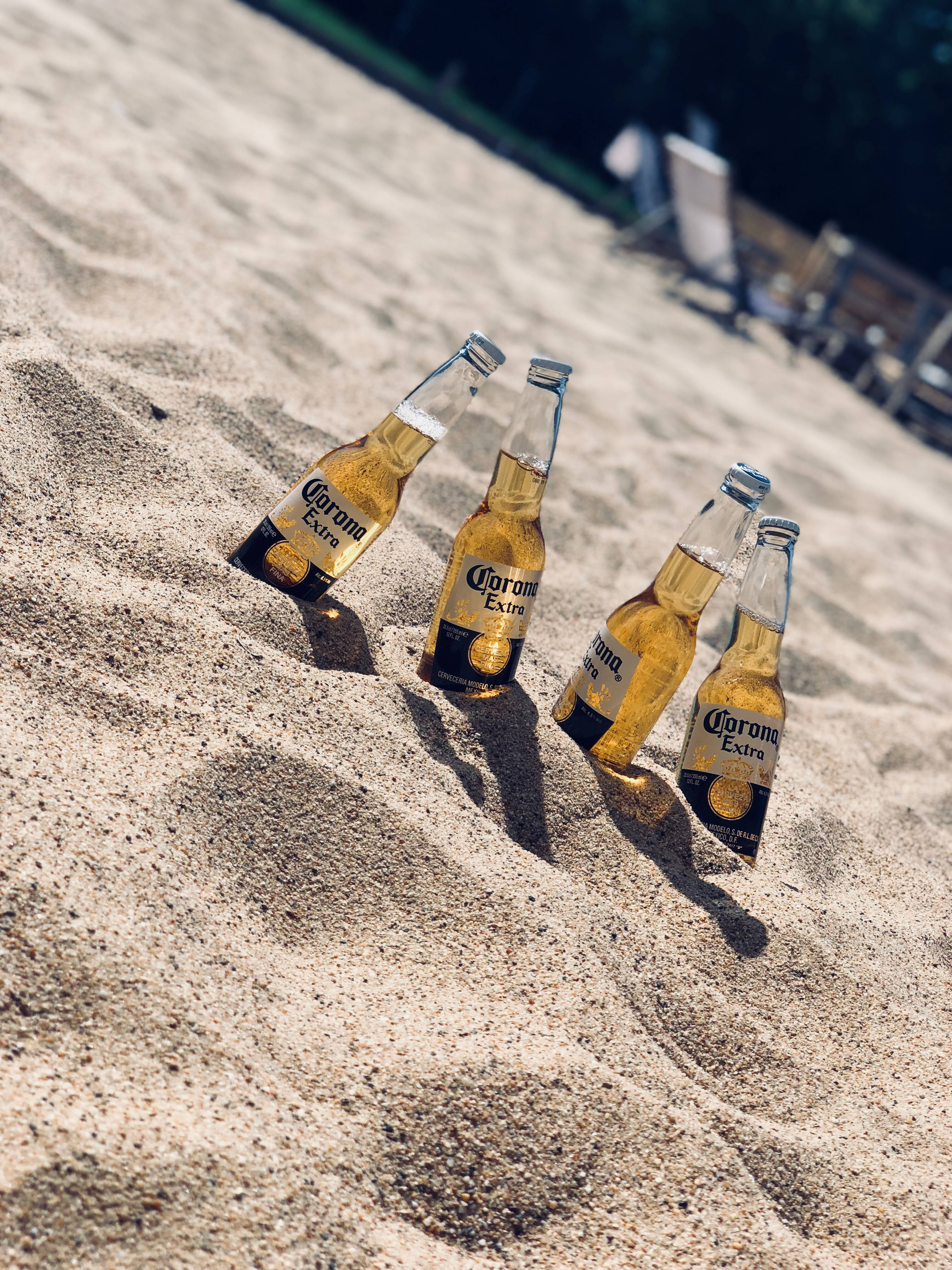Beer 桌布 壁紙 — 四瓶Corona Extra啤酒半埋在陽光照射的沙中，背景有模糊的沙灘椅。
