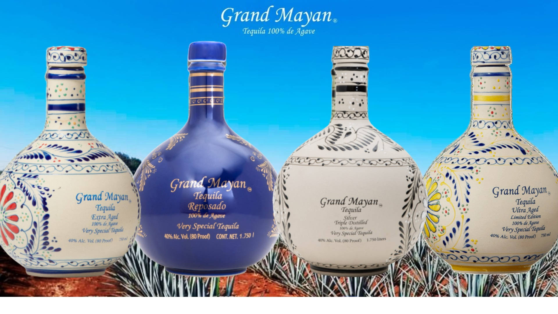 alcohol 桌布 壁紙 — 四瓶裝飾華麗的Grand Mayan龍舌蘭酒瓶排列在明亮的藍天下，下方有龍舌蘭植物。