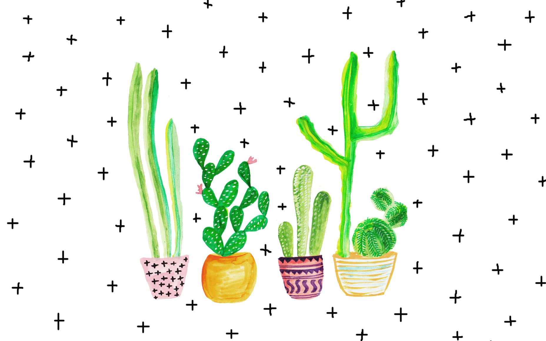 Cactus 桌布 壁紙 — 四盆色彩繽紛的盆栽仙人掌，帶有星星和鋸齒圖案，放在白色背景上，背景點綴著黑色加號。
