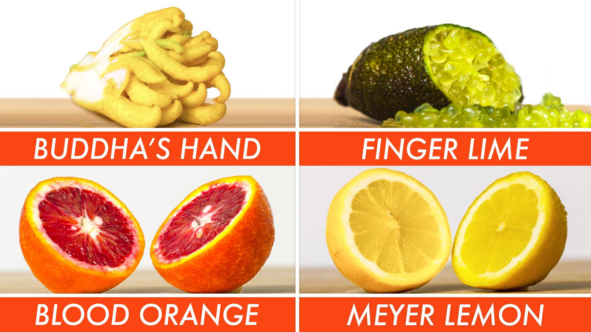 Fruit 桌布 壁紙 — 四種異國柑橘類水果以四象限展示：佛手柑、手指萊姆、血橙和邁耶檸檬，每種切片以展現鮮豔的內部。