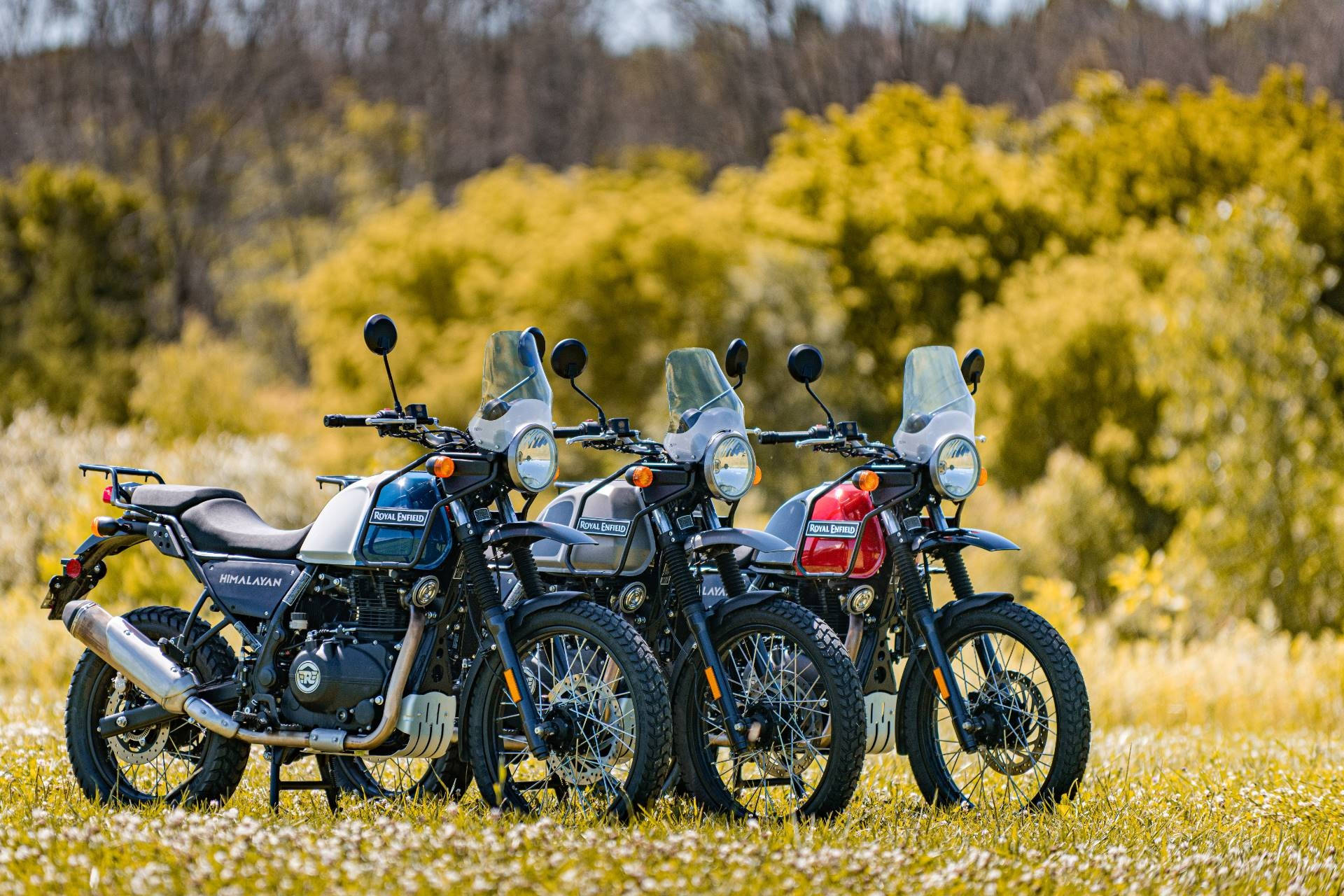 腳踏車 桌布 壁紙 — 四輛 Royal Enfield Himalayan 摩托車排成一列，停放在陽光明媚的草地上，背景有黃色樹葉。
