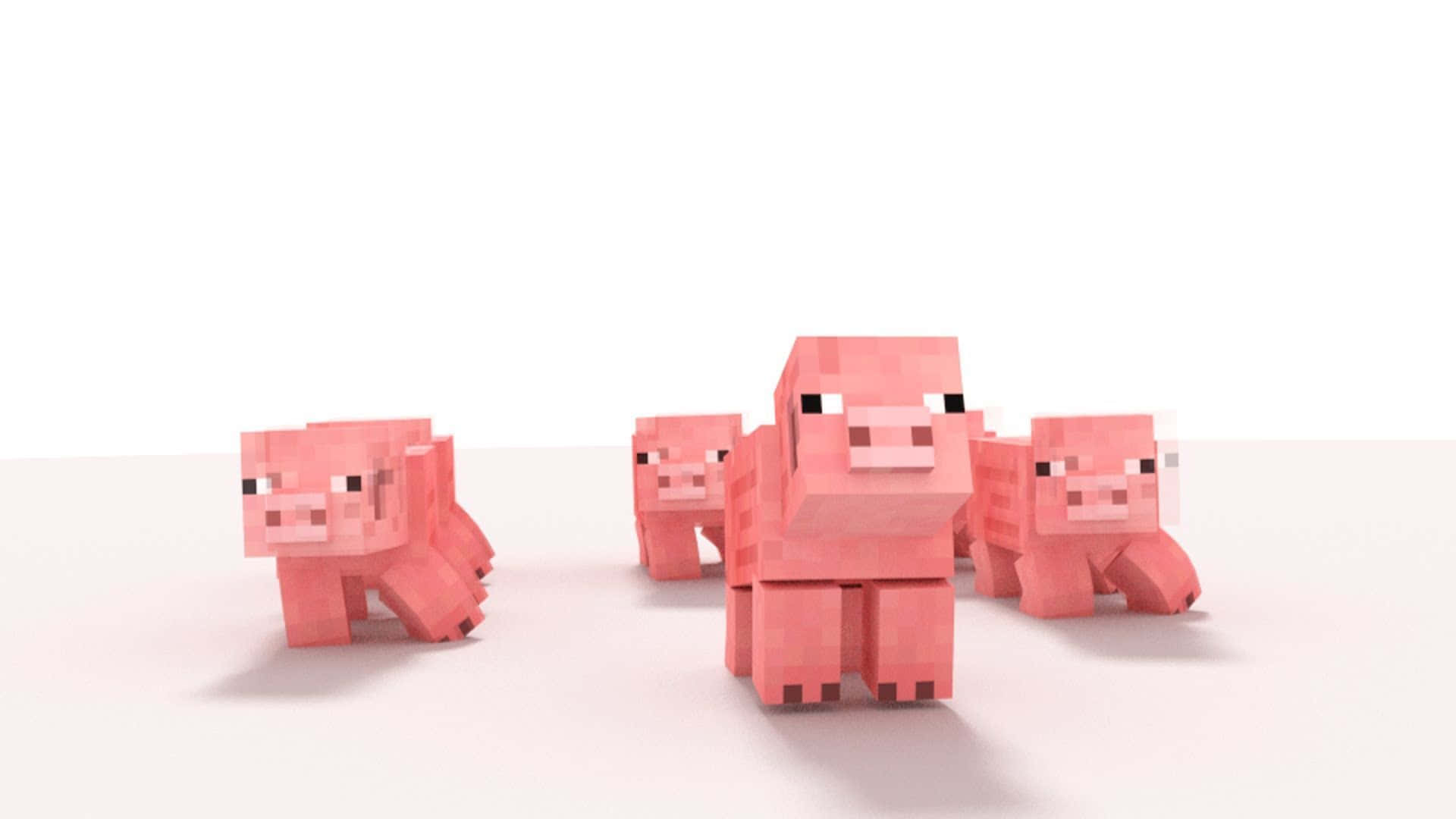 Minecraft Pig 桌布 壁紙 — 四隻像素化的粉紅色Minecraft豬排成一列，站在白色表面上，背景是潔淨的白色。